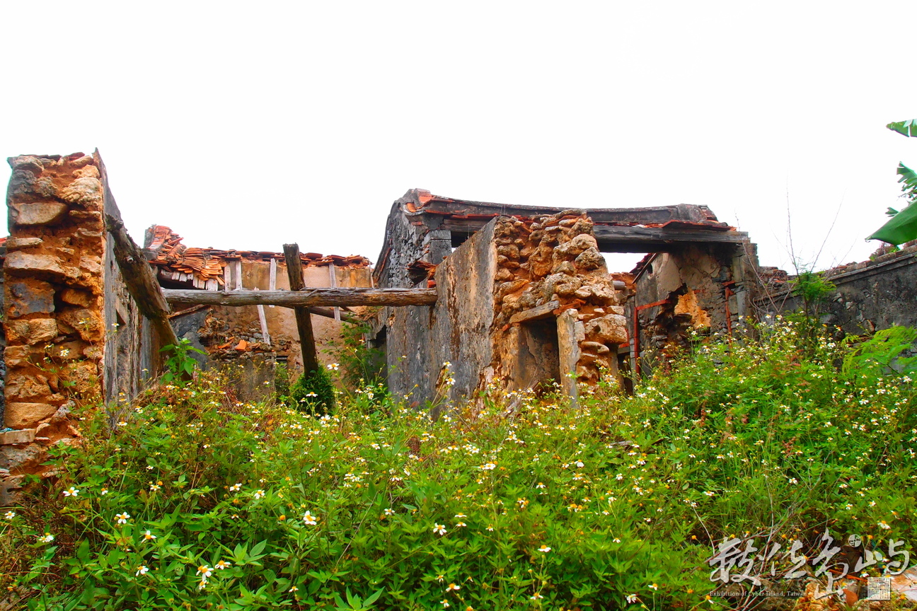 20170602拍攝於南寮060