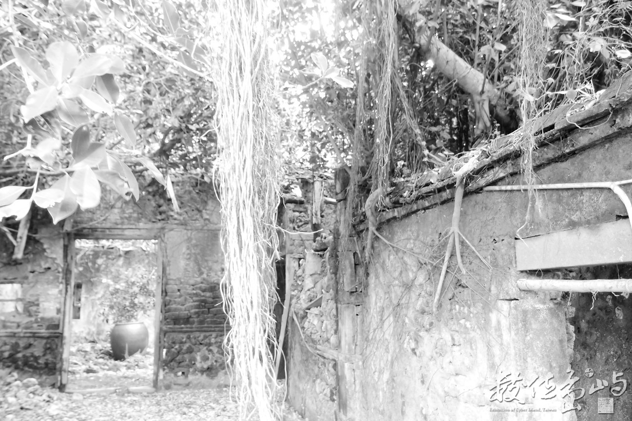 20170602拍攝於南寮077