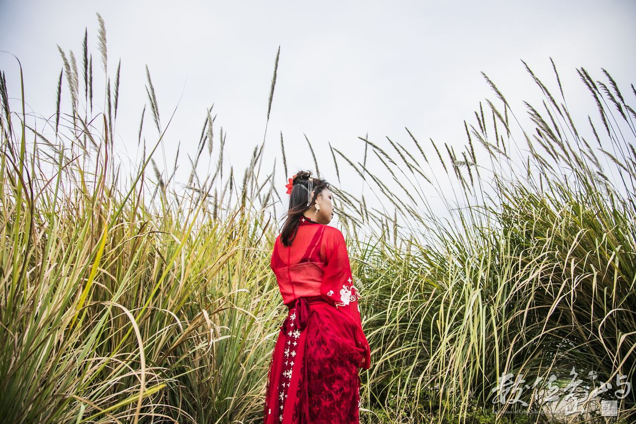 浯島申家班萬安夫人漢服外拍