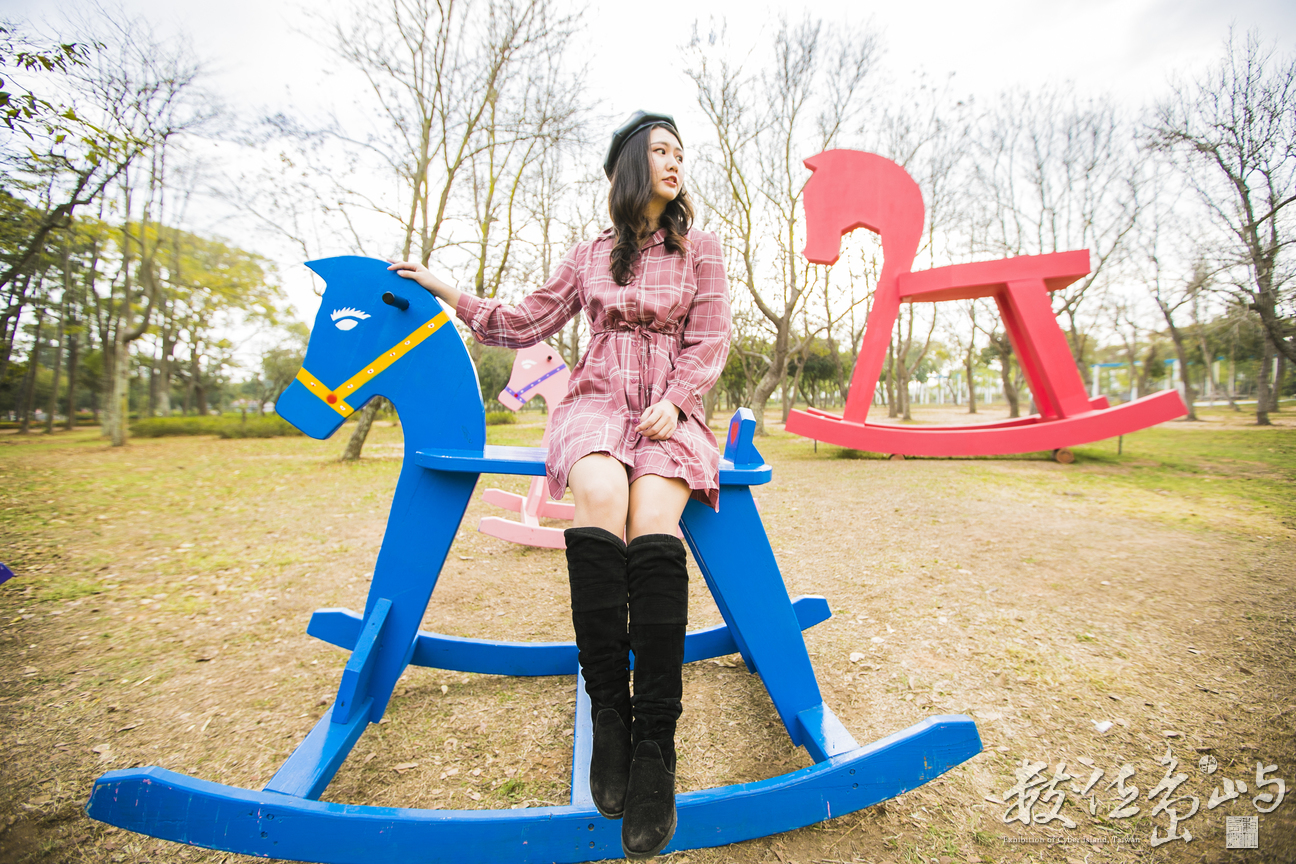 金門林務所女網紅男鮮肉打卡心熱點之歡樂搖滾搖搖馬