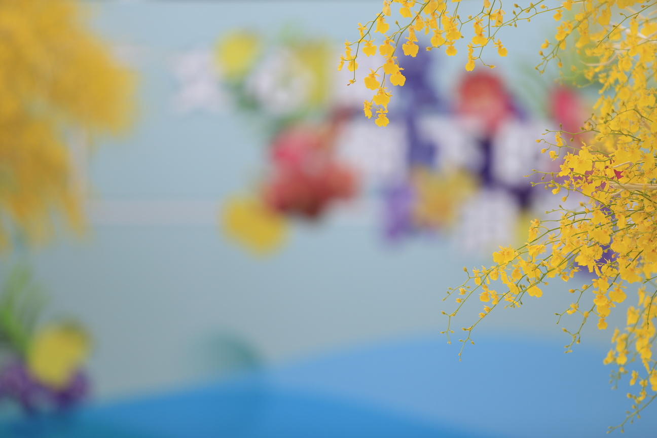 屏東超級南設計展-蘭花樹下