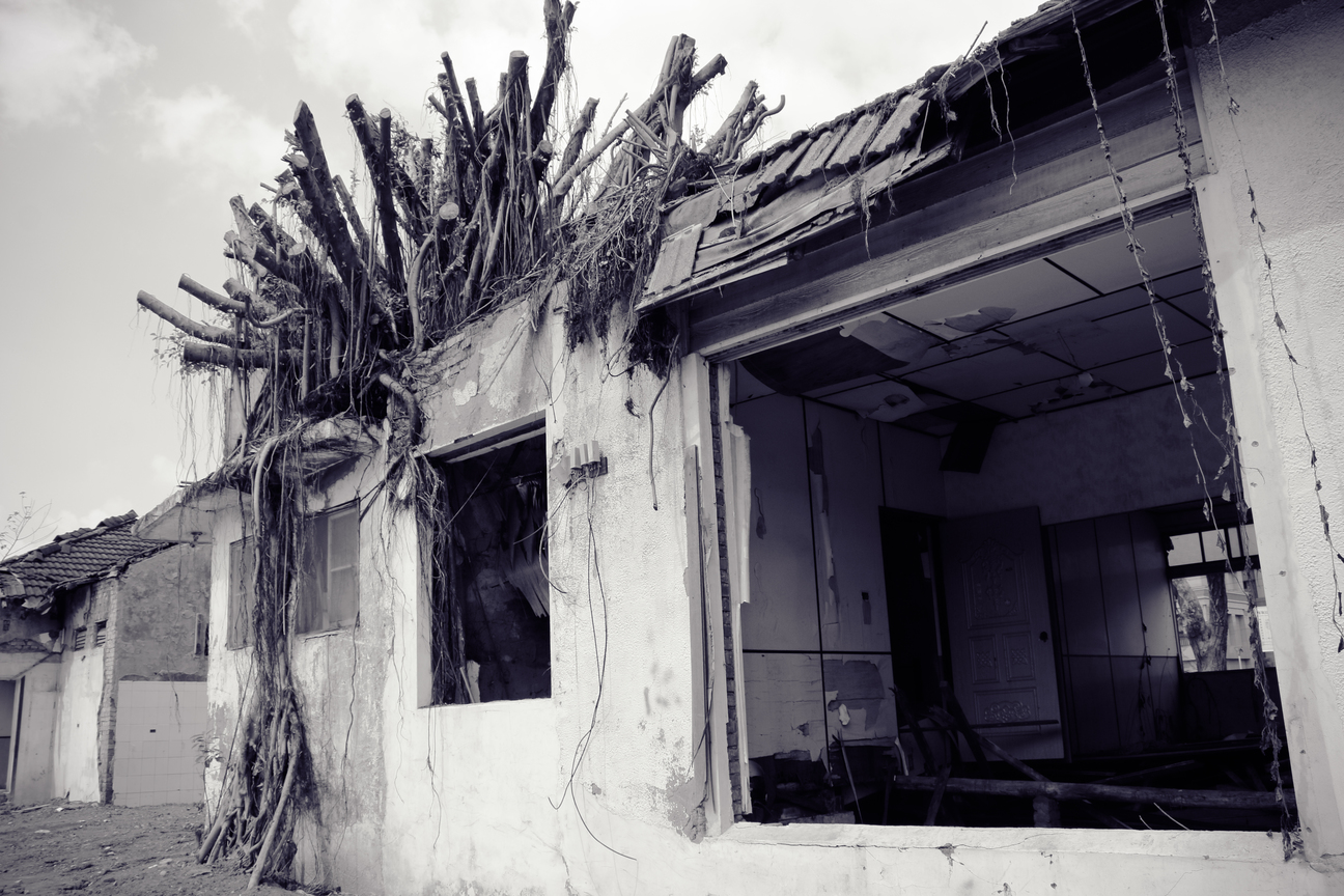 我認識的青島街4