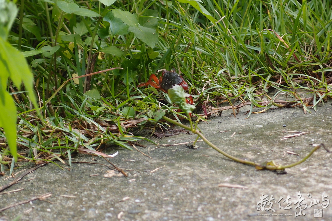 20191031拍攝於吉利休憩區 (10).JPG