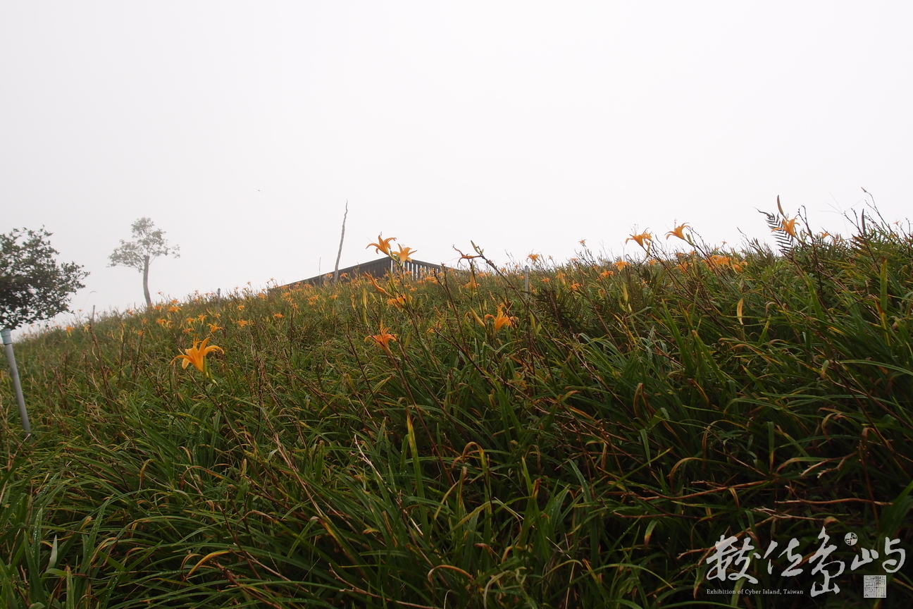 20191031拍攝於六十石山 (15).JPG