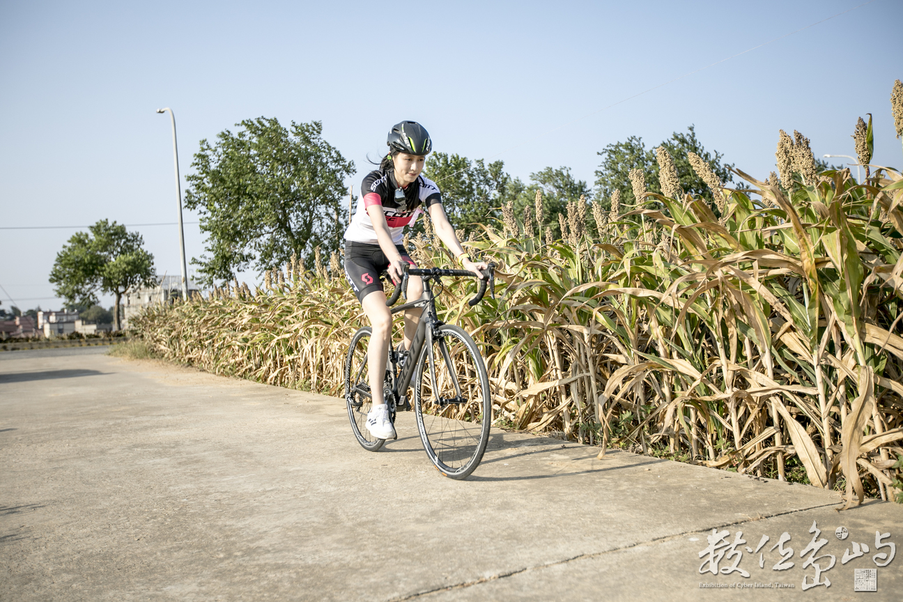 藝起尋風 遊樂金沙 單車穿越高粱田 微醺穿越沙尾八卦老街