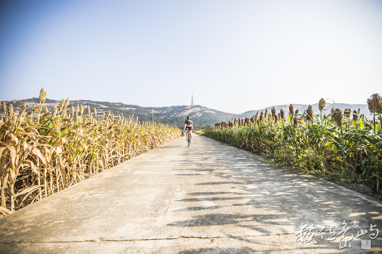 藝起尋風 遊樂金沙 單車穿越高粱田 微醺穿越沙尾八卦老街