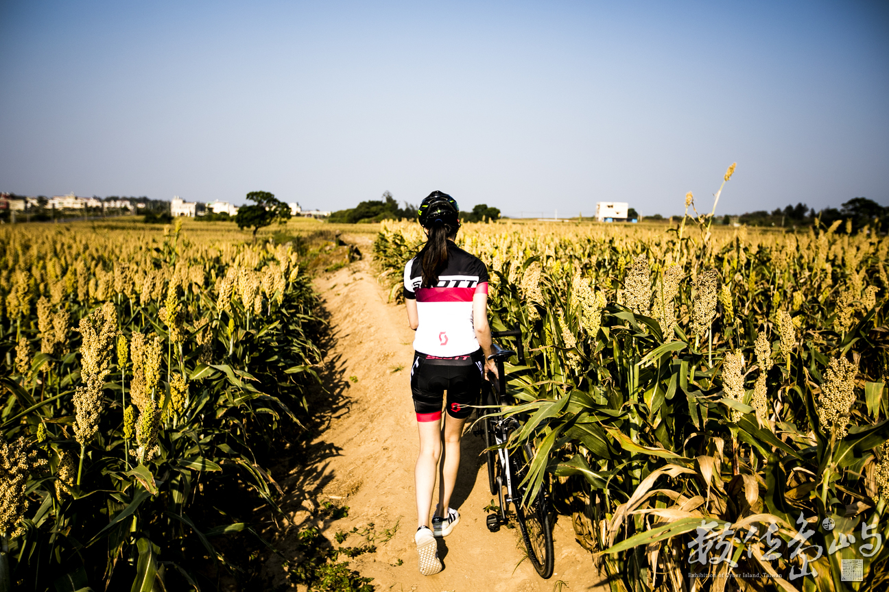 藝起尋風 遊樂金沙 單車穿越高粱田 微醺穿越沙尾八卦老街