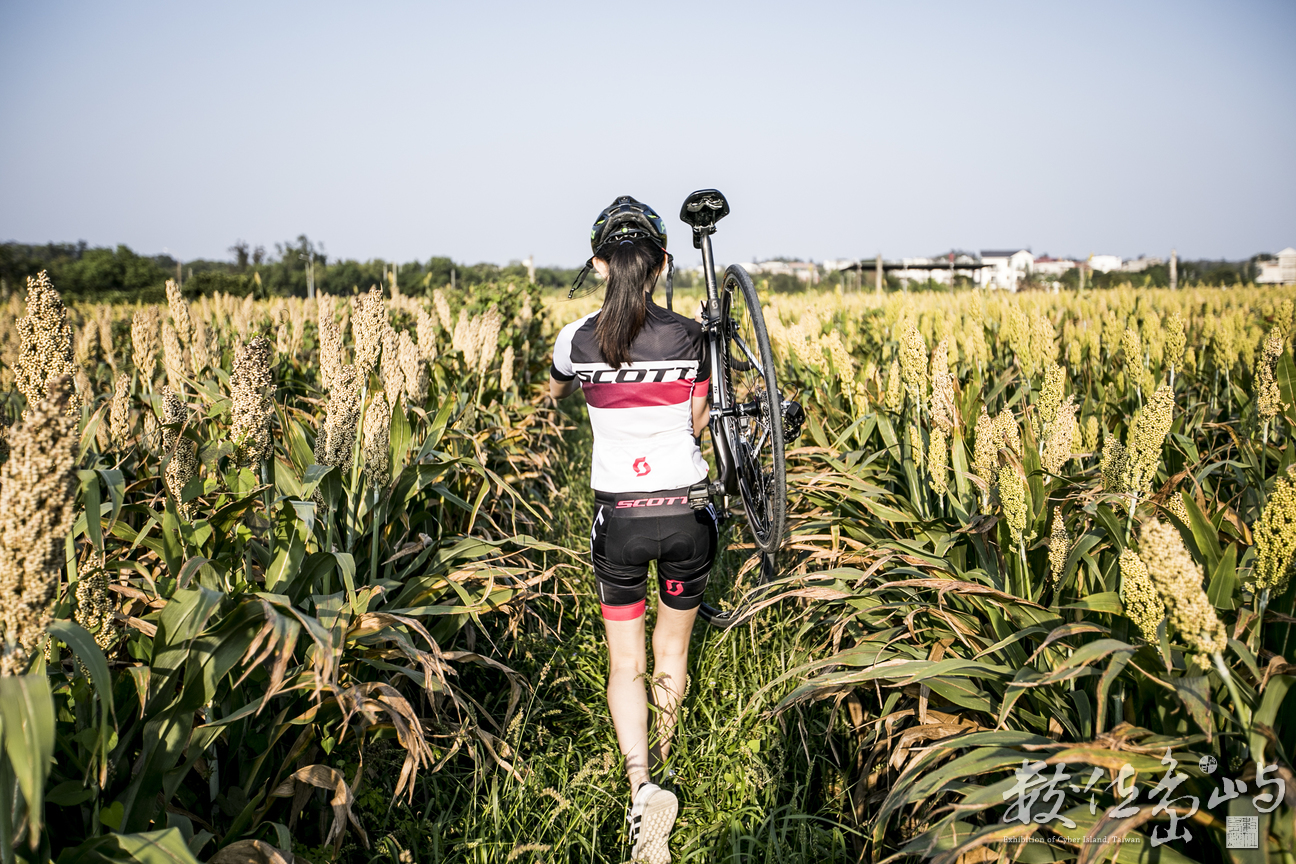 藝起尋風 遊樂金沙 單車穿越高粱田 微醺穿越沙尾八卦老街