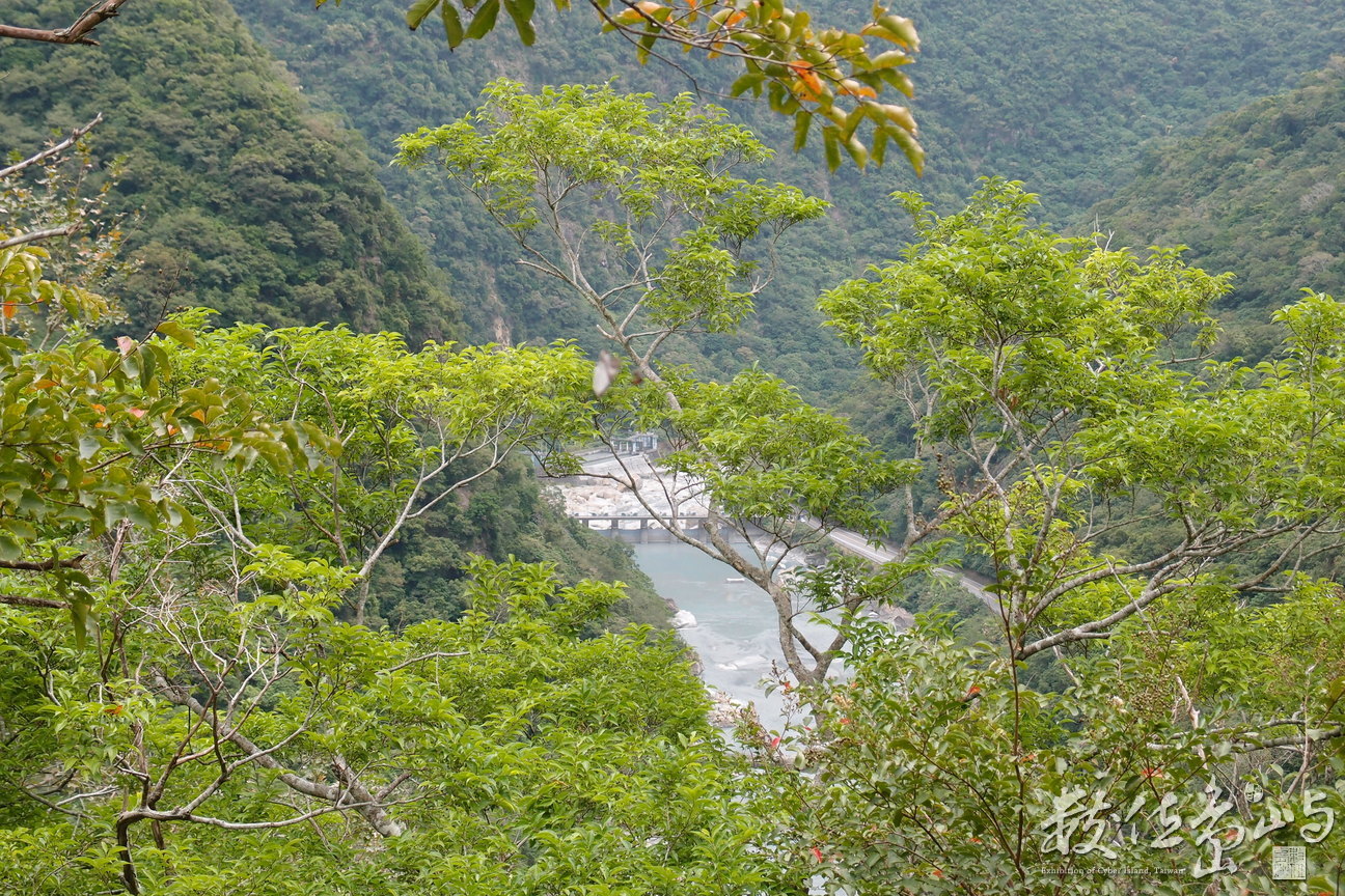 20191030拍攝於綠水 (7).JPG