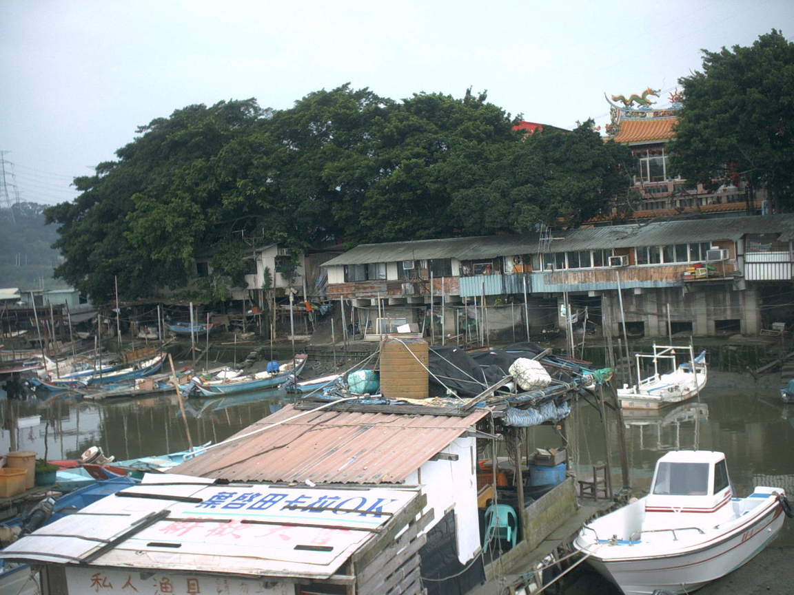 PICT0050