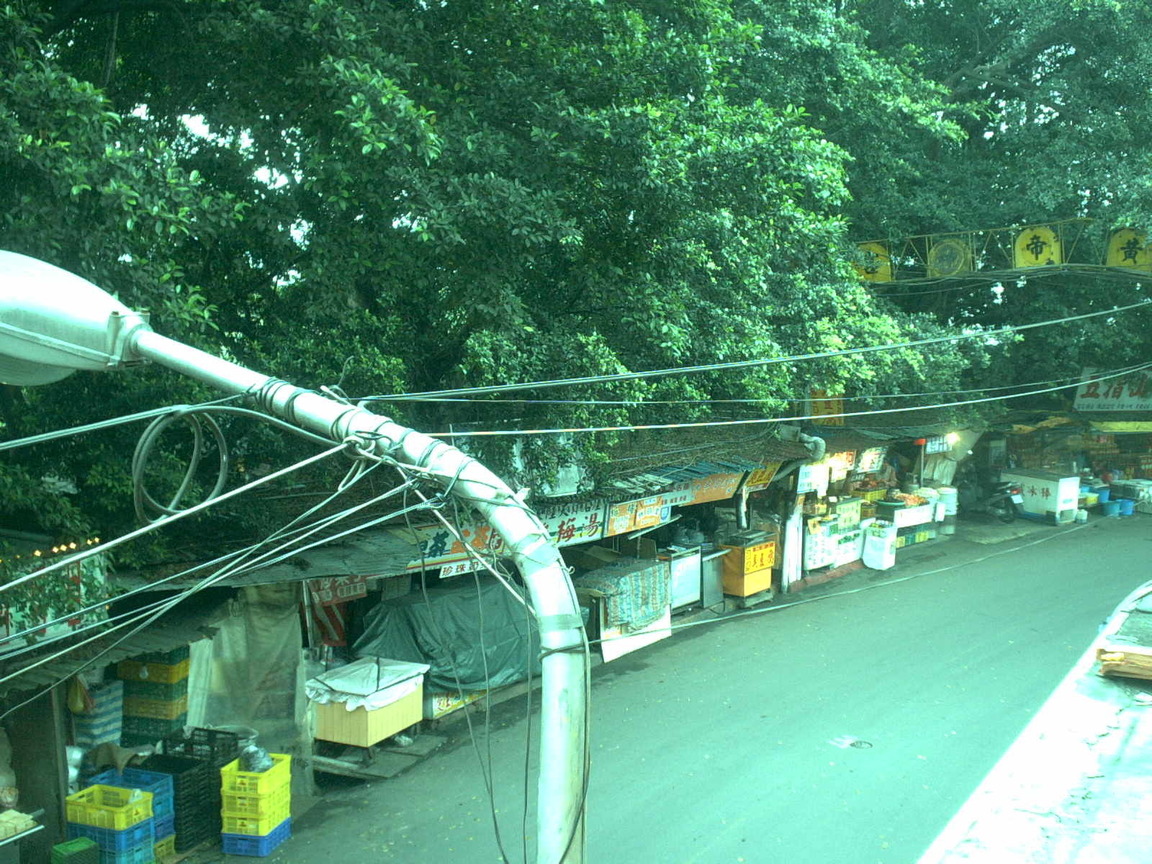 PICT0008