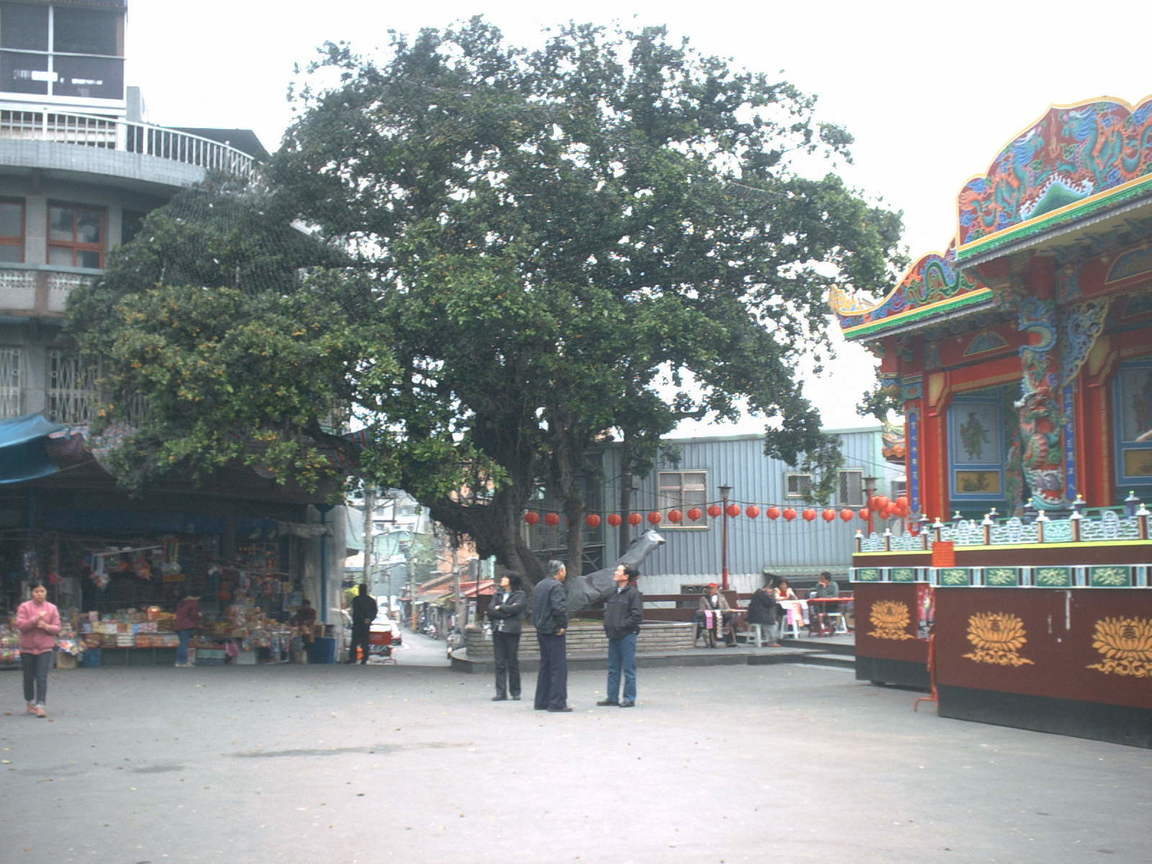 PICT0020