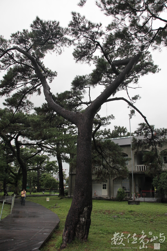 2011年1112花蓮17