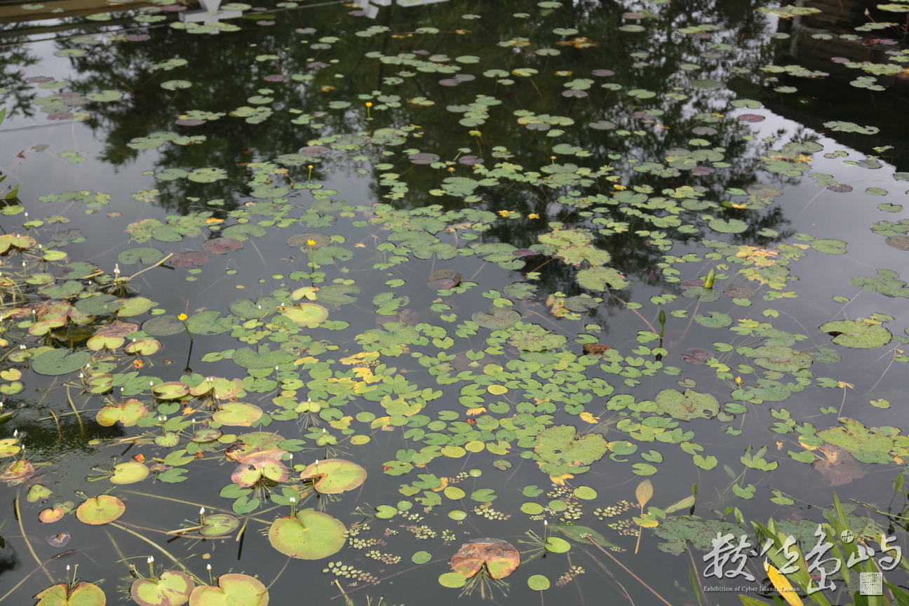 2011年1112花蓮12