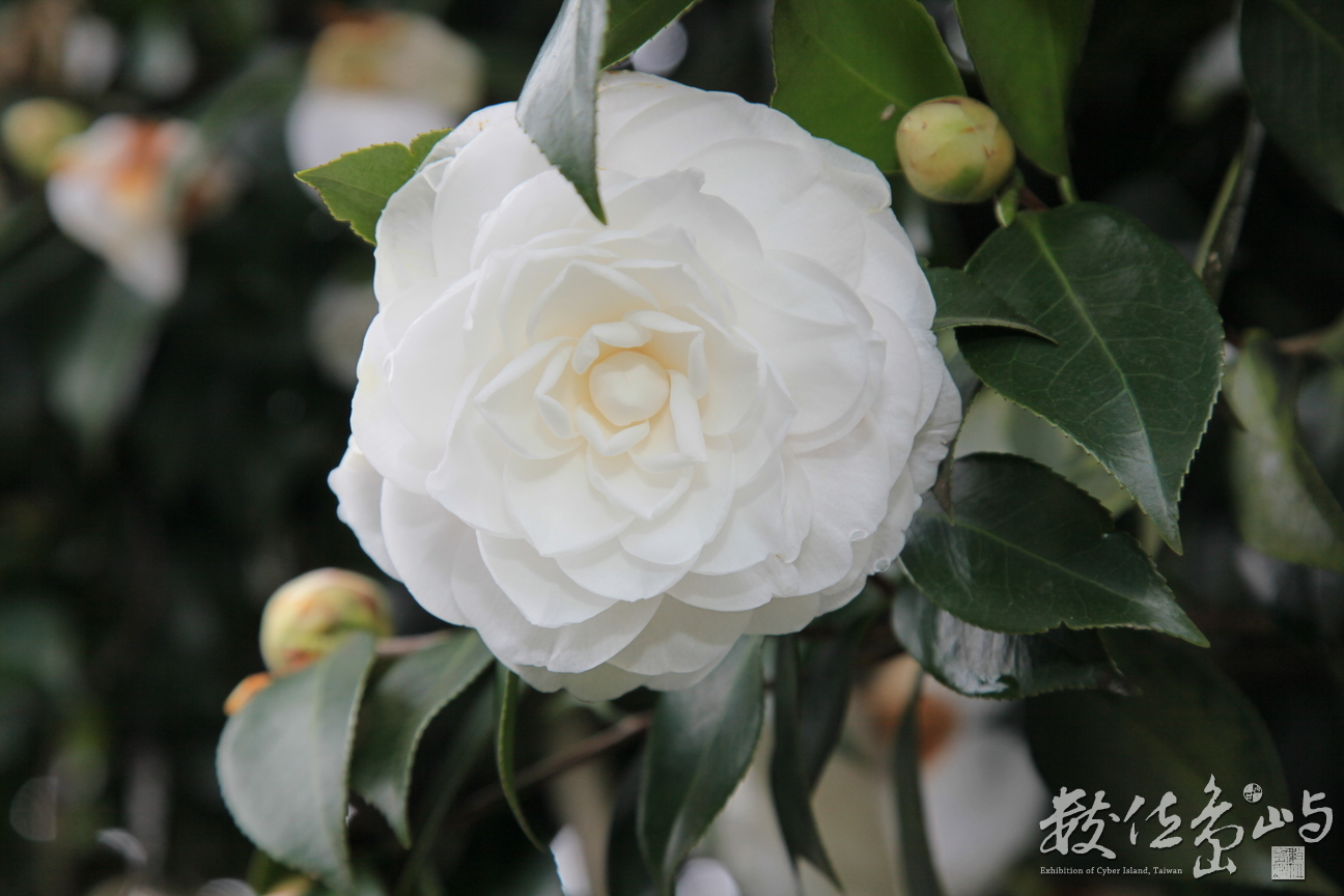 2011年1231高科大行銷所遊記_061