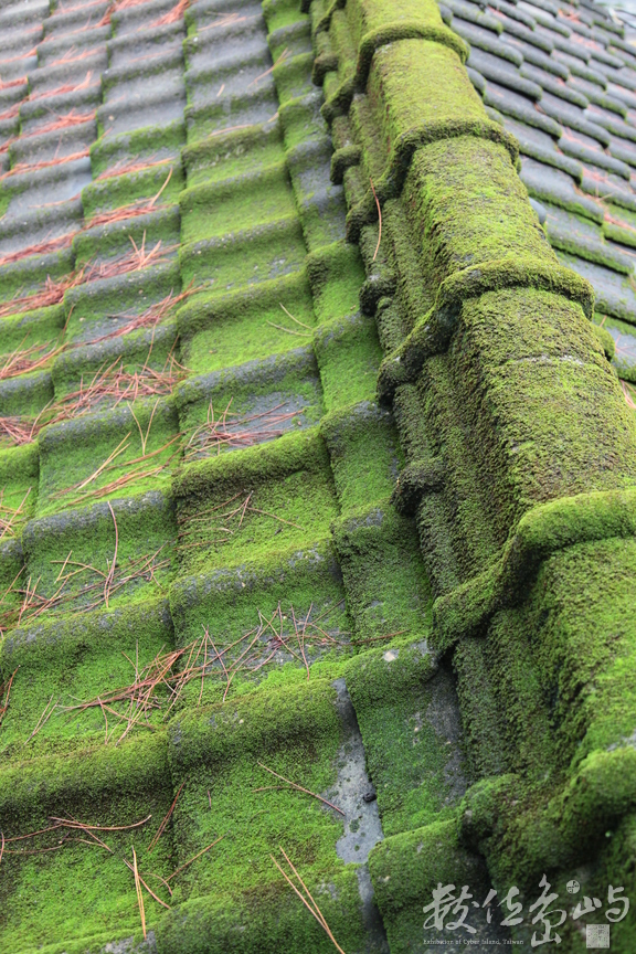 2011年1112花蓮52