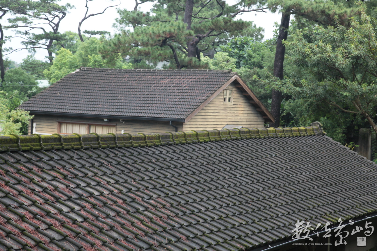 2011年1112花蓮86