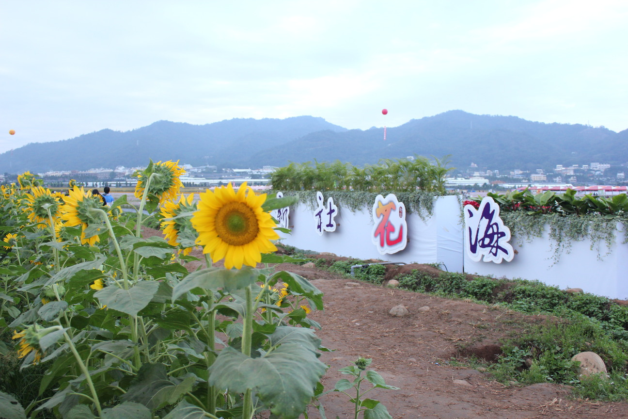 新社花海