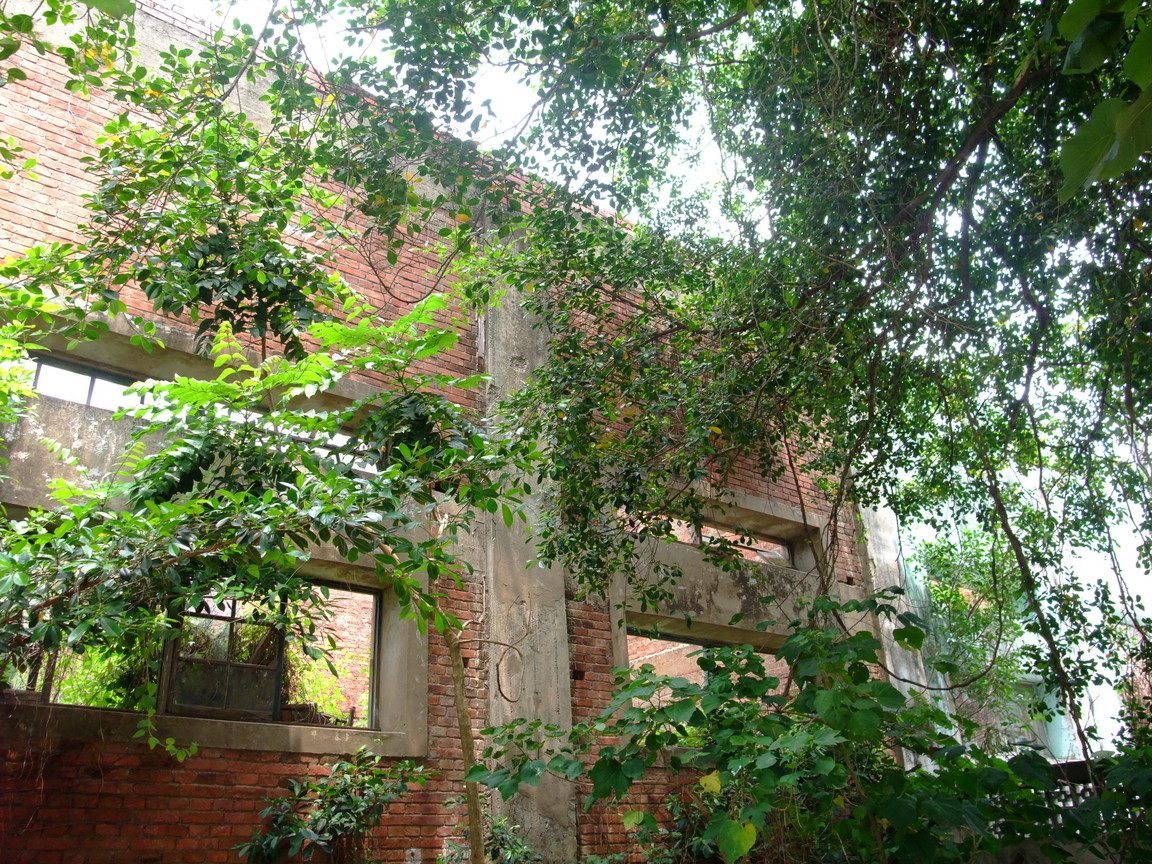 台南市鹽水區-岸內紅牆