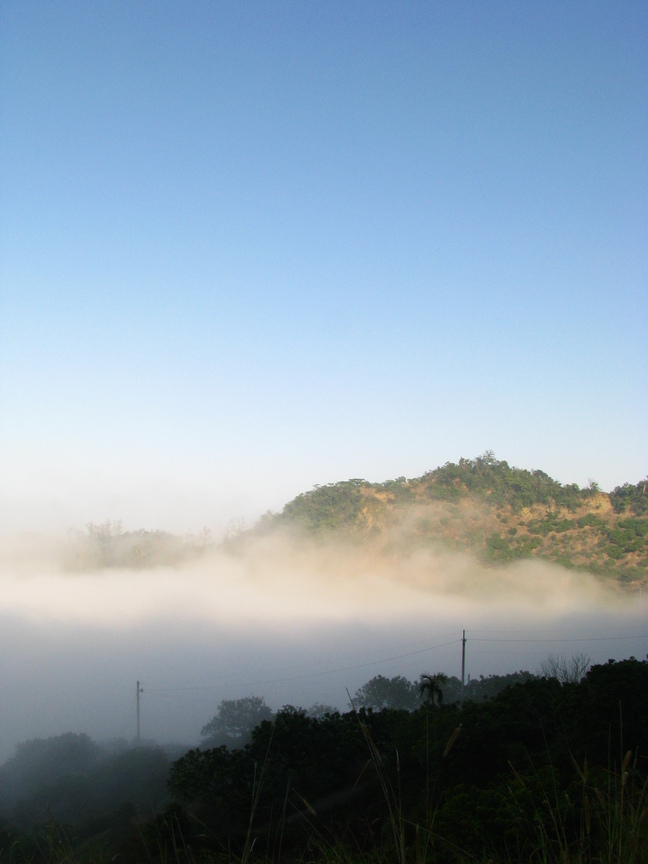 臺南市東山區--咖啡公路