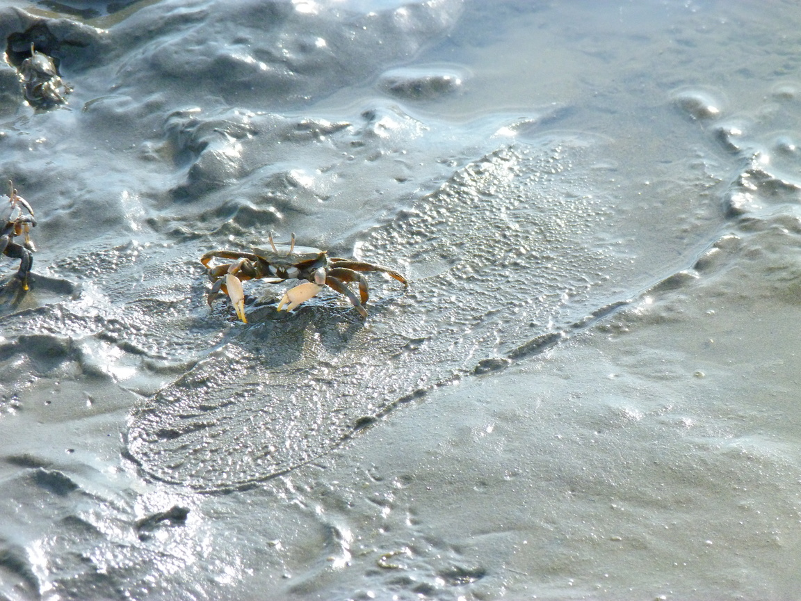 台中市清水區-生命足跡