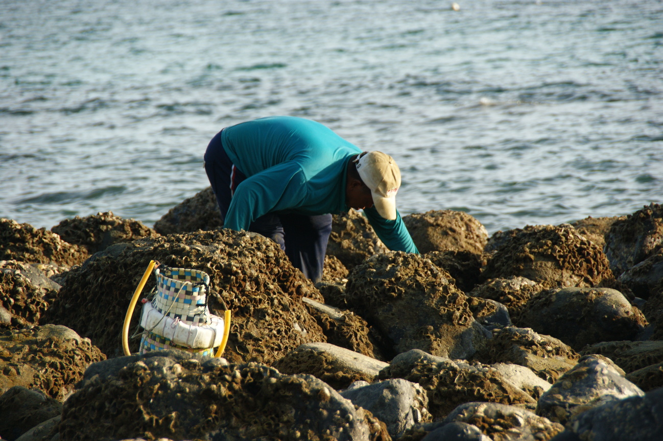 澎湖縣西嶼鄉-靠海維生
