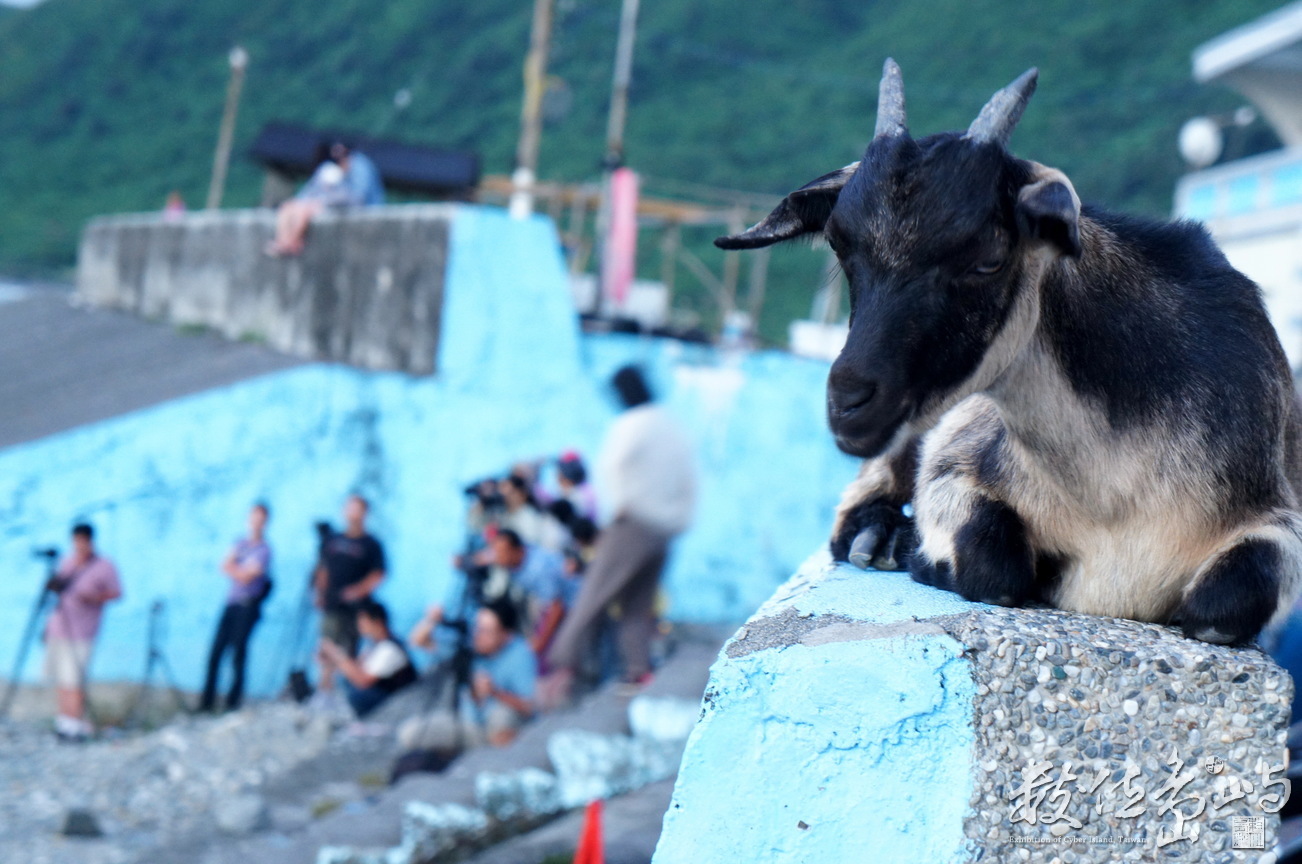 台東縣 蘭嶼鄉-眾人皆醉我獨醒