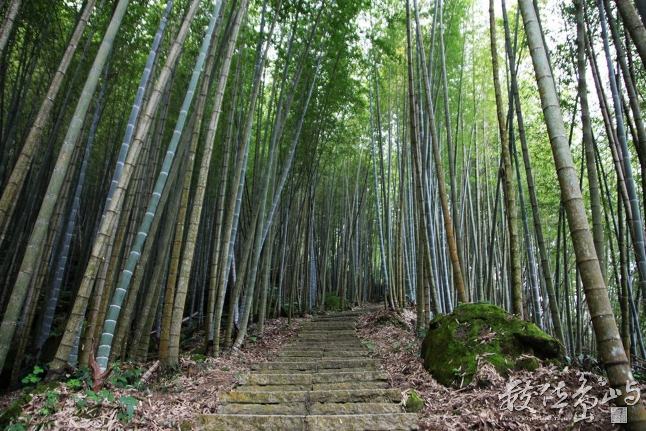 嘉義縣梅山鄉－瑞里綠色隧道