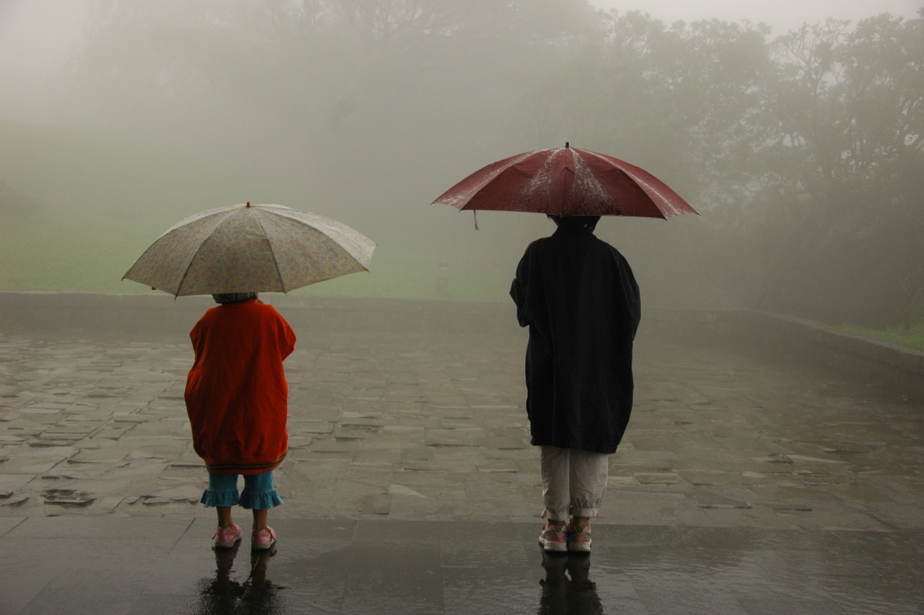 台北市士林區 觀雨與霧
