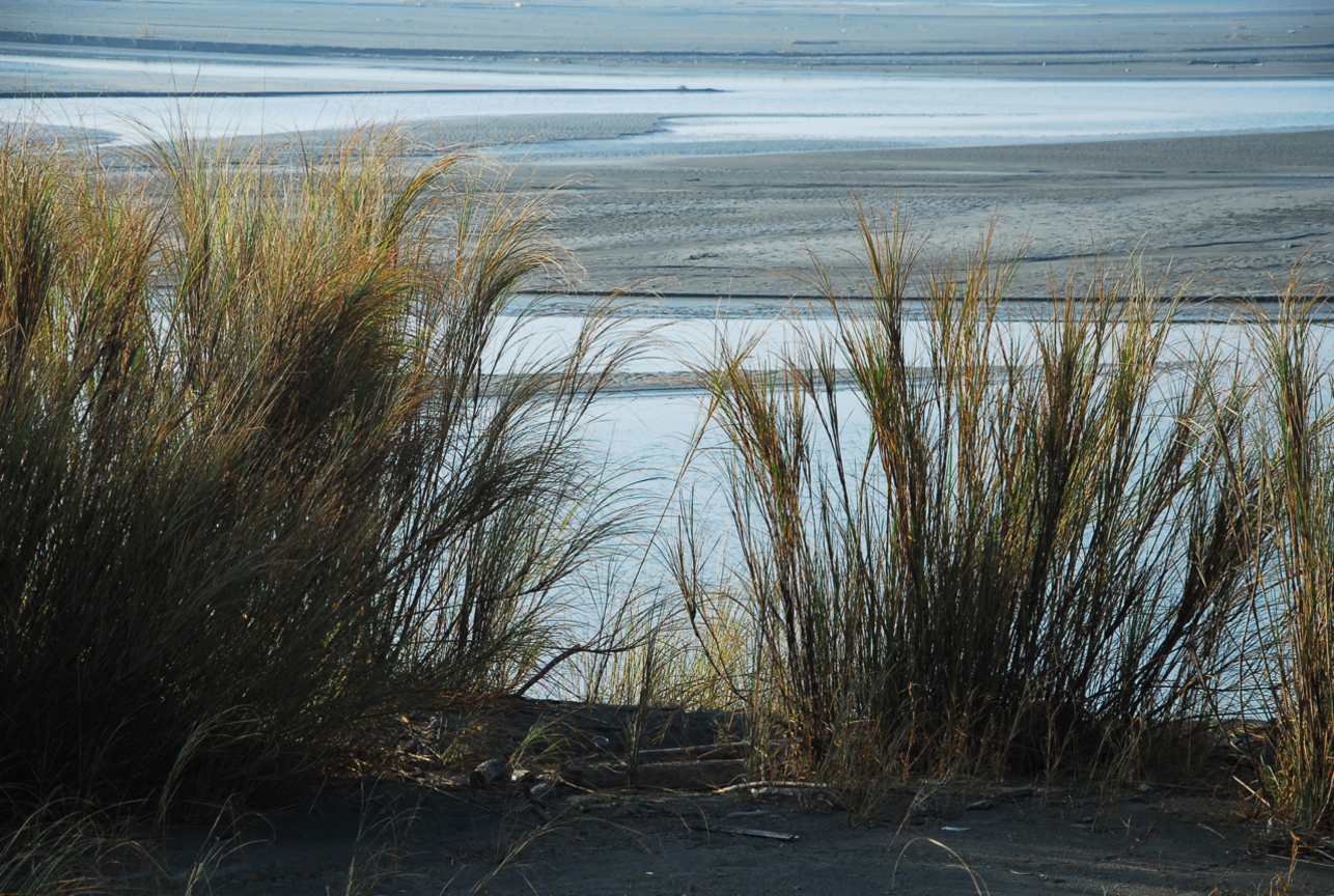 彰化縣大城鄉--濁水溪畔