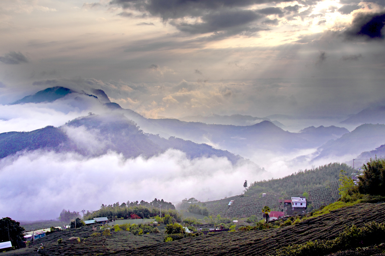 嘉義縣 阿里山鄉 石棹村 雲海之美