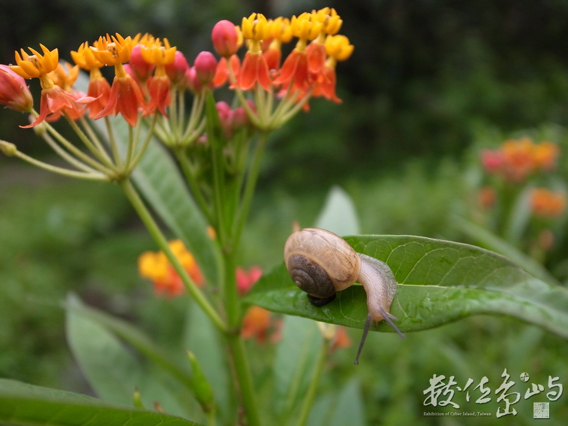 新北市永和區─蝸居