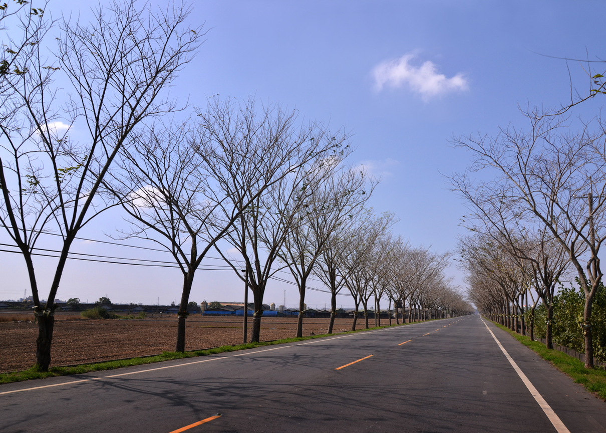 台南市白河區－鄉道