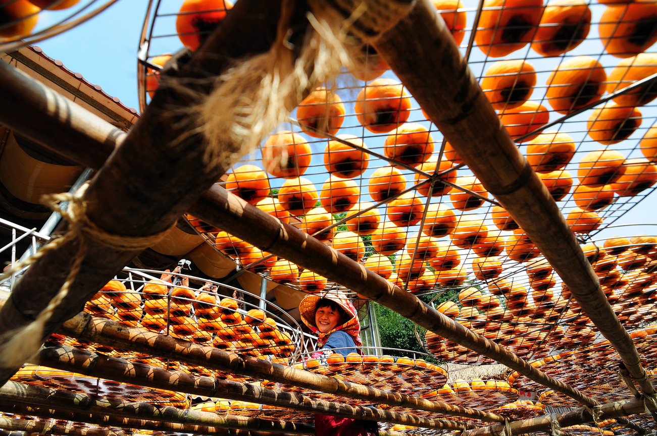 新竹縣新埔鎮 - 曬柿餅