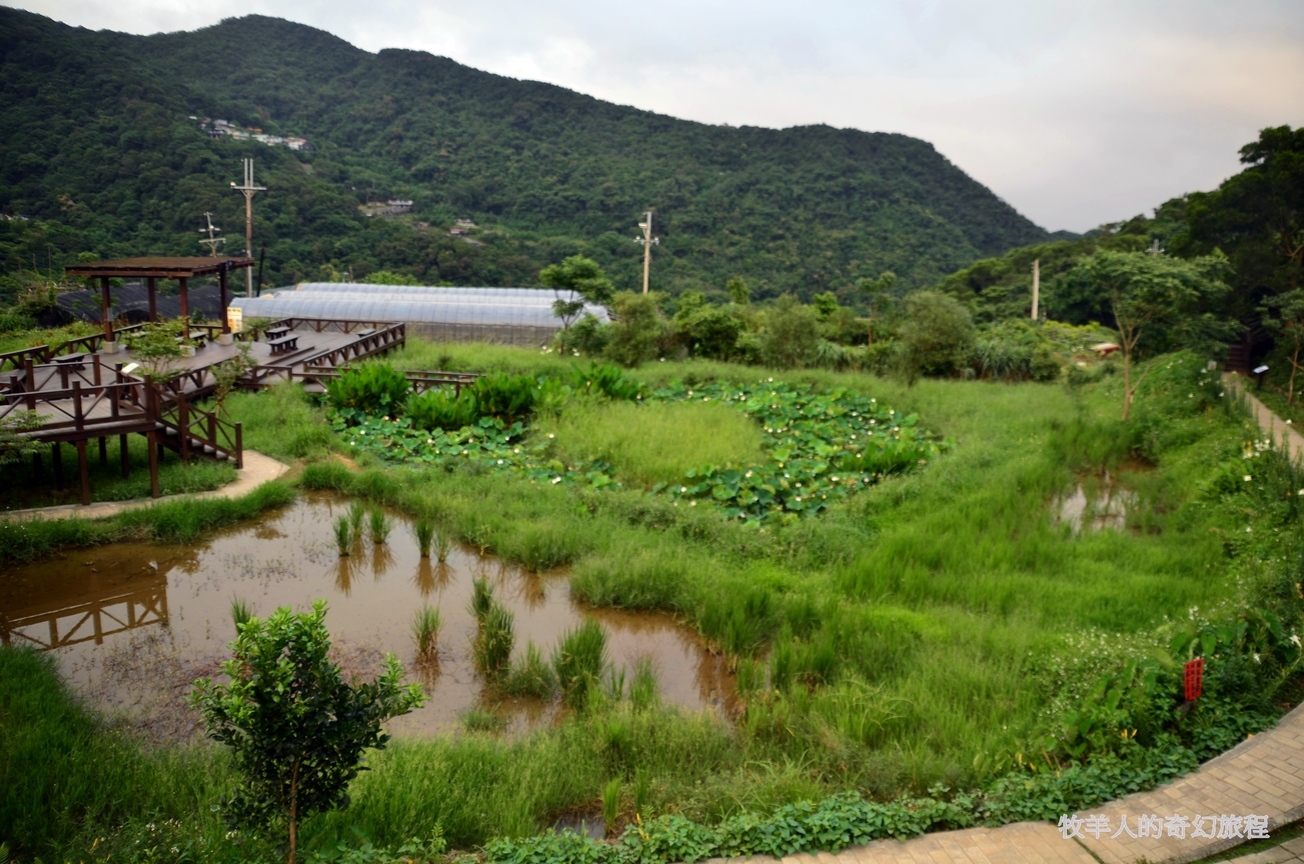 台北市內湖區-白石湖溼地