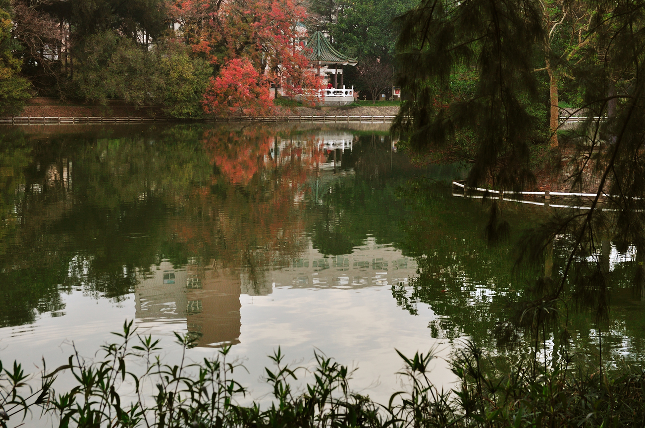 新竹市東區 - 清大成功湖