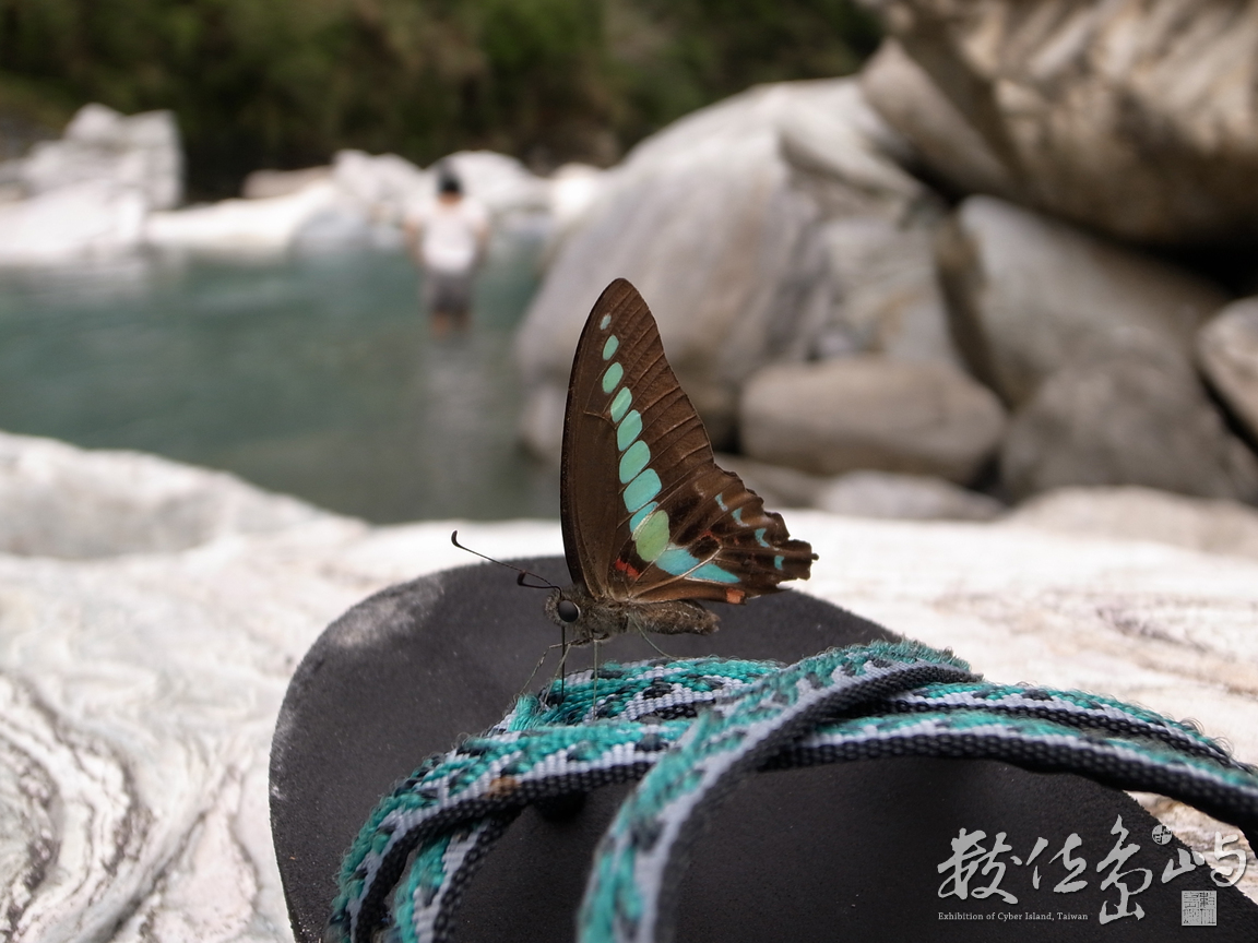 花蓮縣秀林鄉─青色邂逅