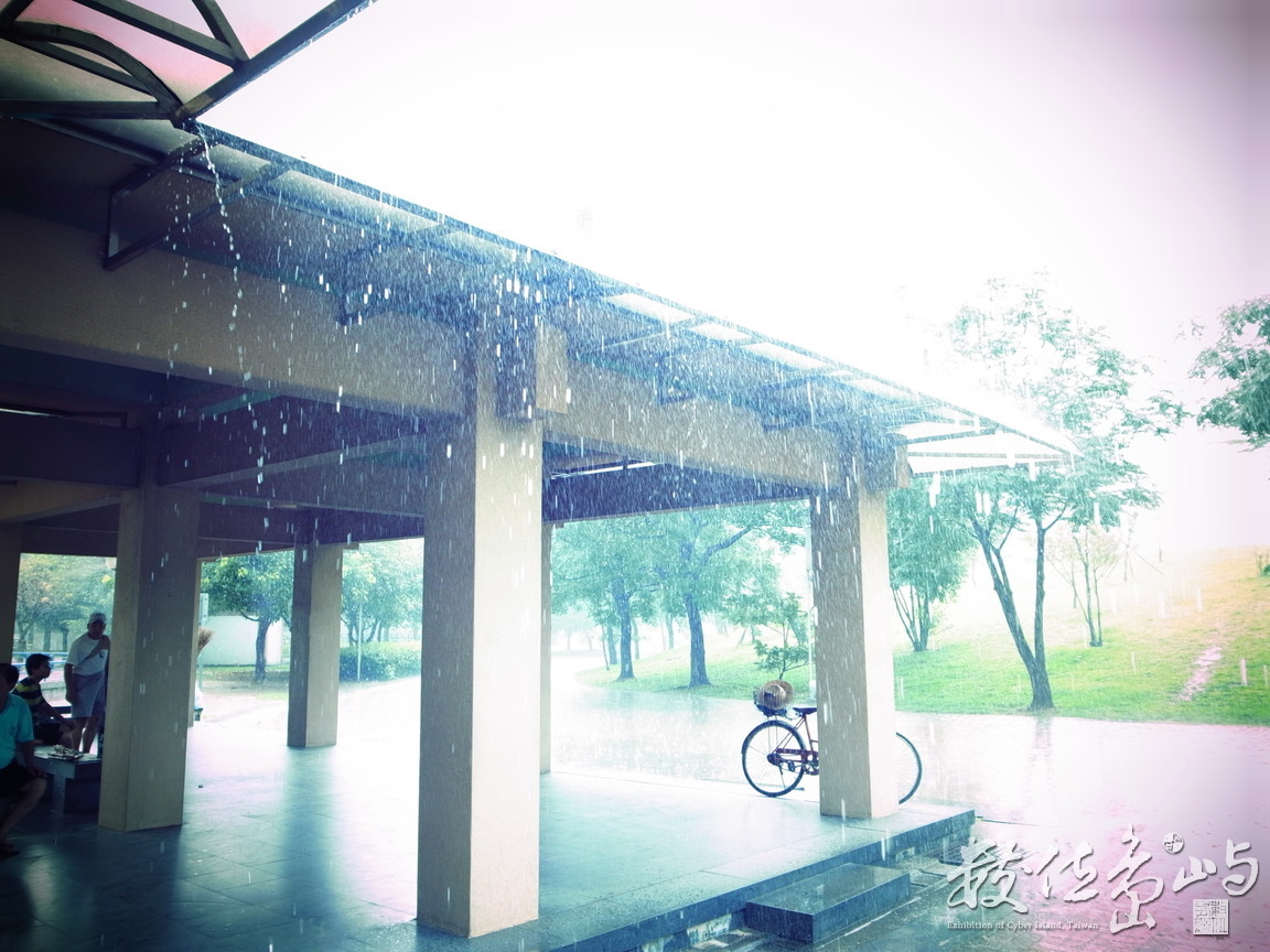 新北市中和區─雨中春光