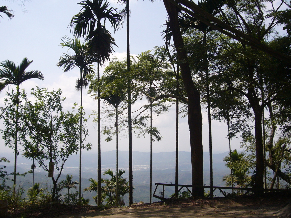 台南市楠西區-梅嶺