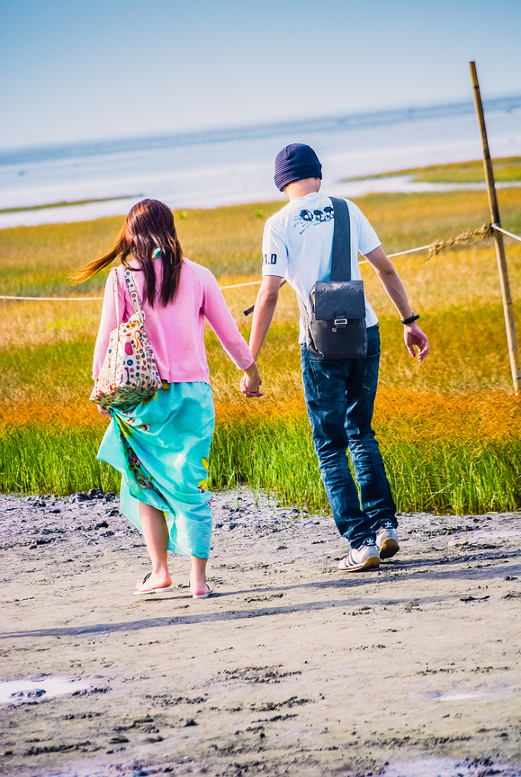 台中市清水區-高美濕地