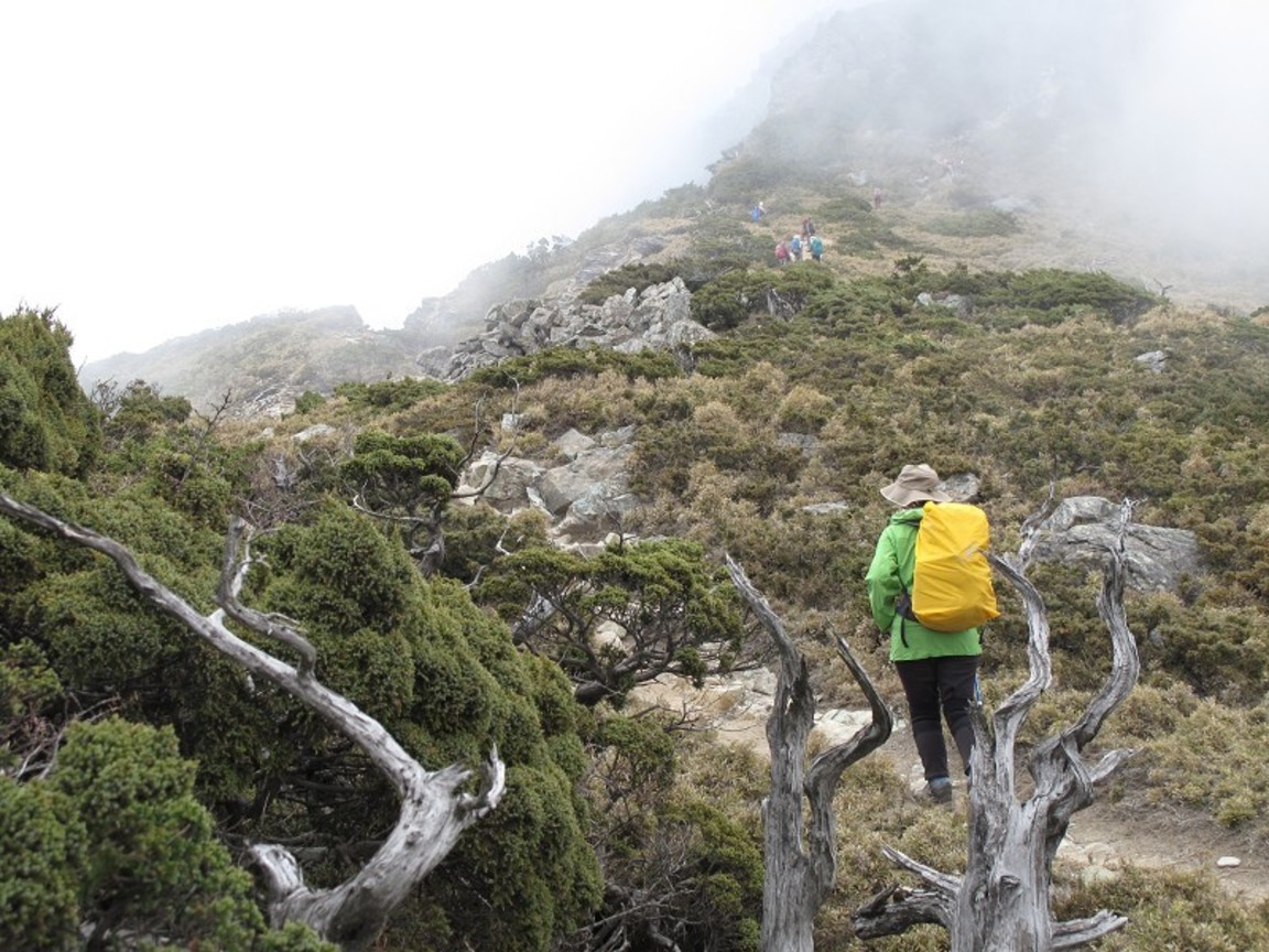 台東縣海瑞鄉-前進向陽山