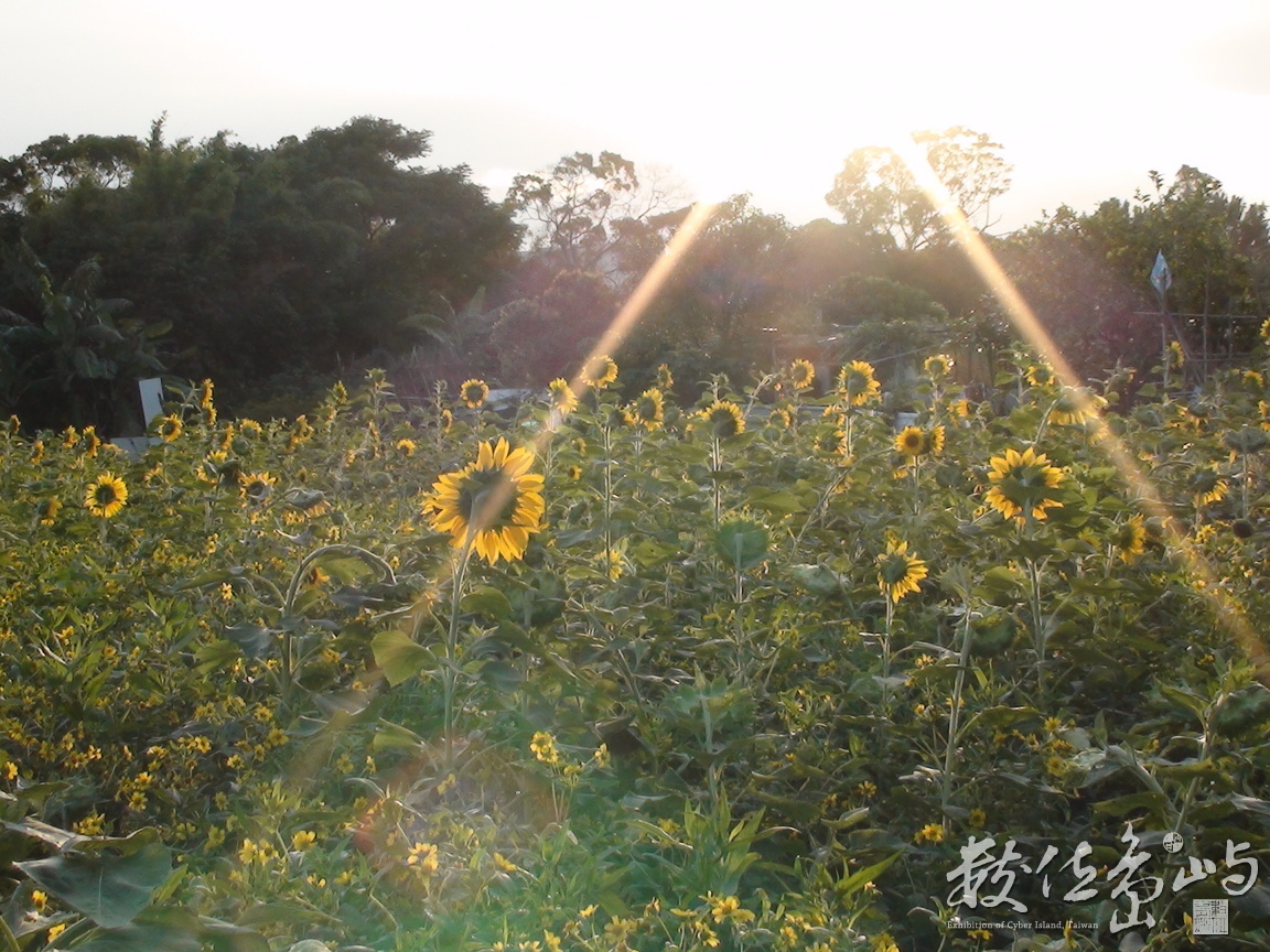 田園風光