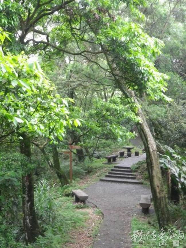 20120428土城．郊山．桐花季60