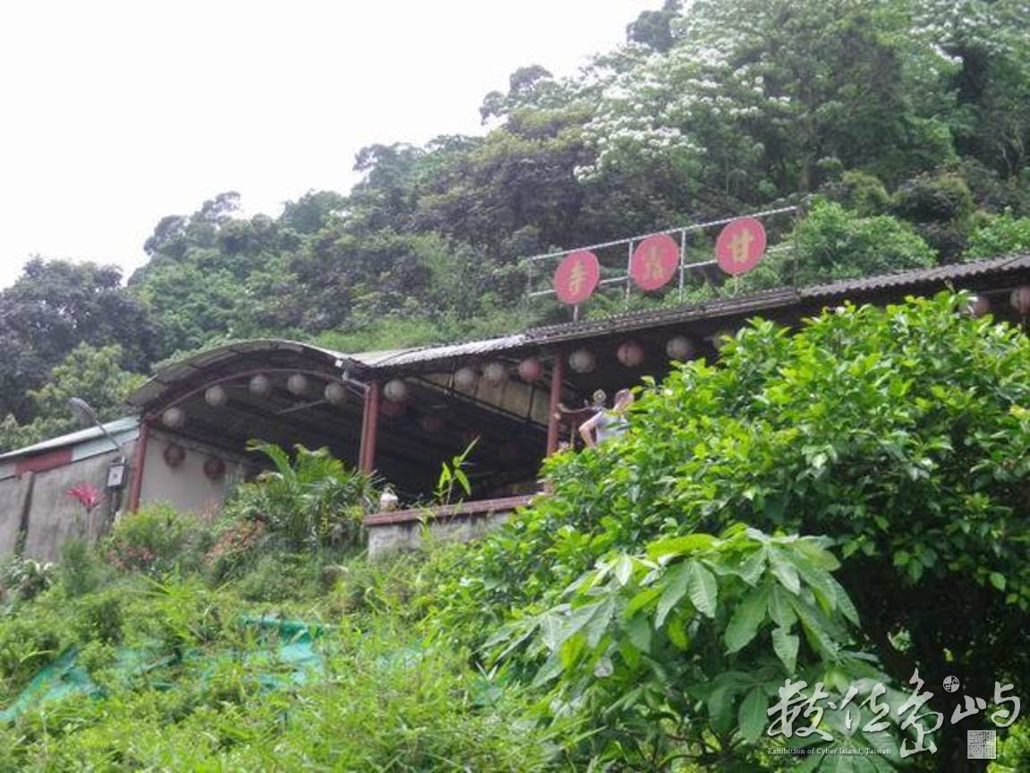 20120428土城．郊山．桐花季21