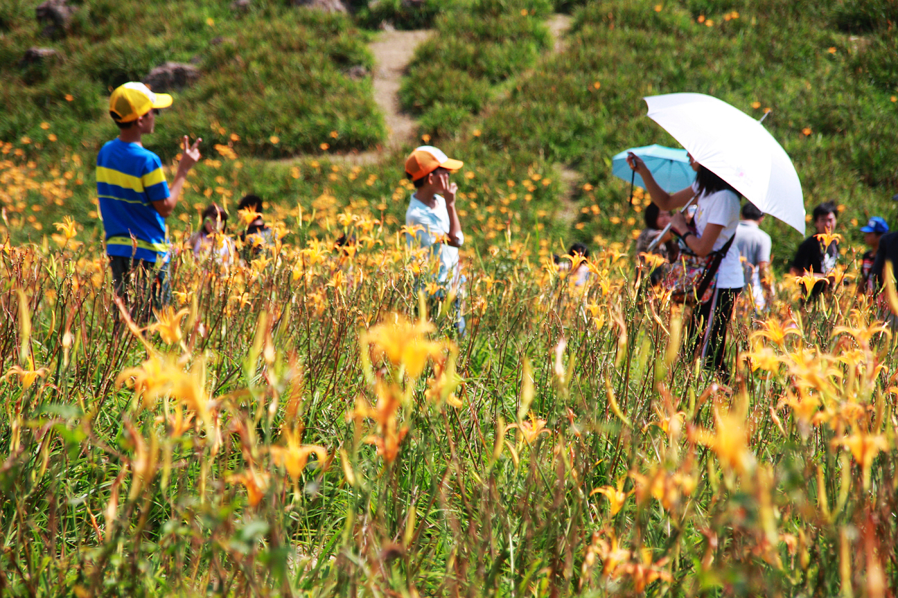 花蓮縣富里鄉-六十石山