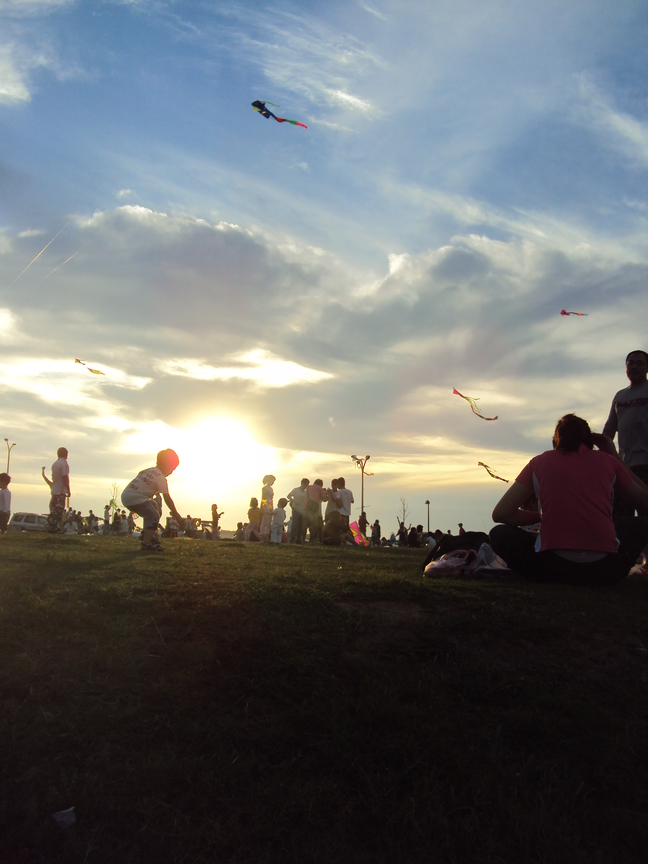 新竹市北區-飛翔