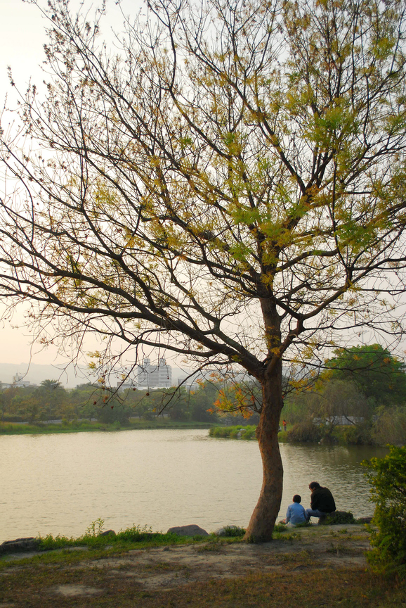 高雄市鼓山區－高雄美術館