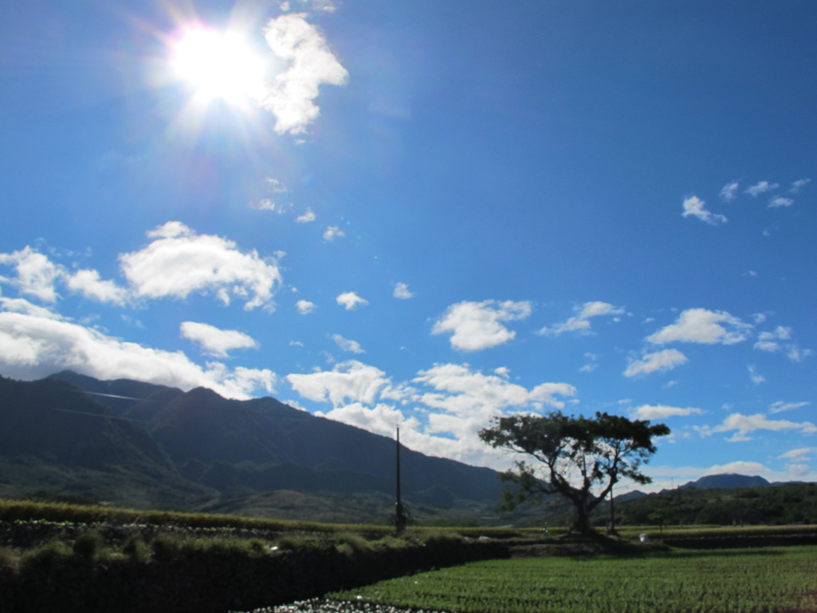 花蓮縣 壽豐鄉 台九線上