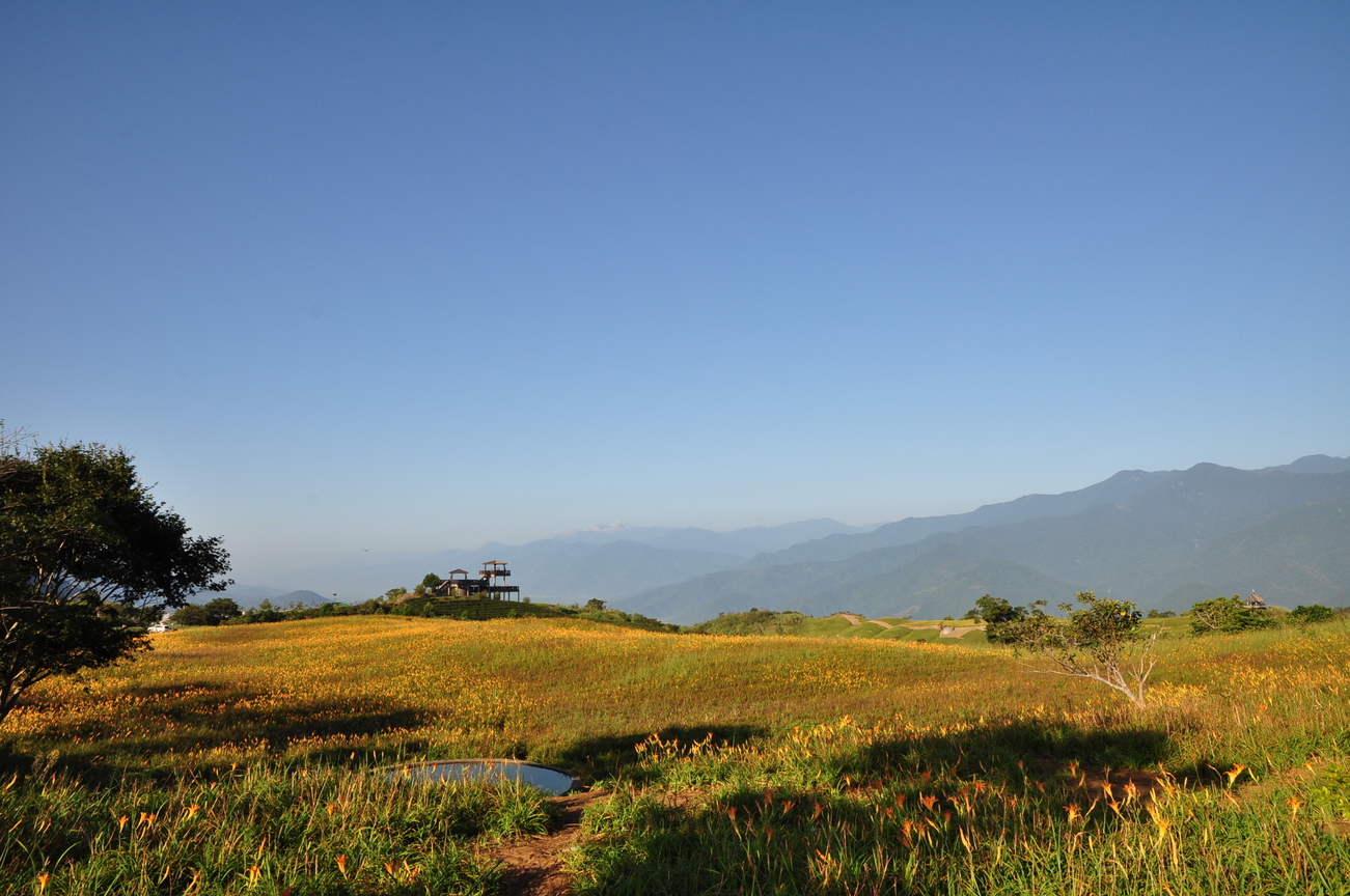 六十石金針山