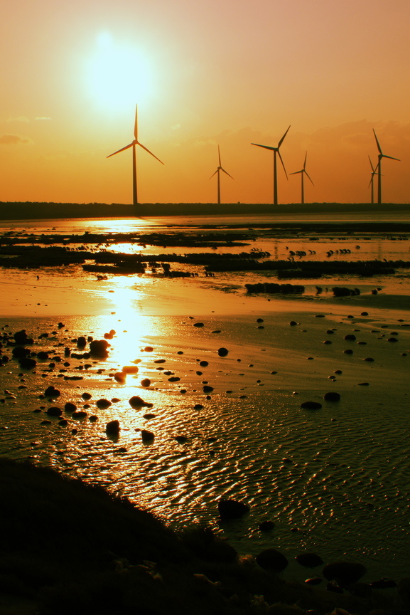 台中市清水區－高美濕地